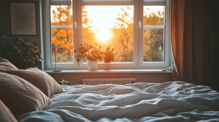 Understanding the Biology of Sleep